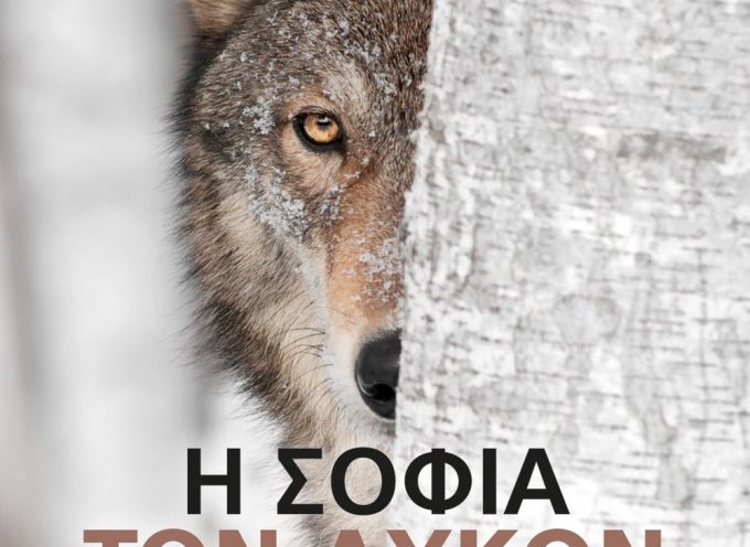 «Η σοφία των λύκων» Ράντινγκερ Εκδόσεις Ψυχογιός 2021 σελ. 315-Γράφει: Ο Κώστας Τραχανάς